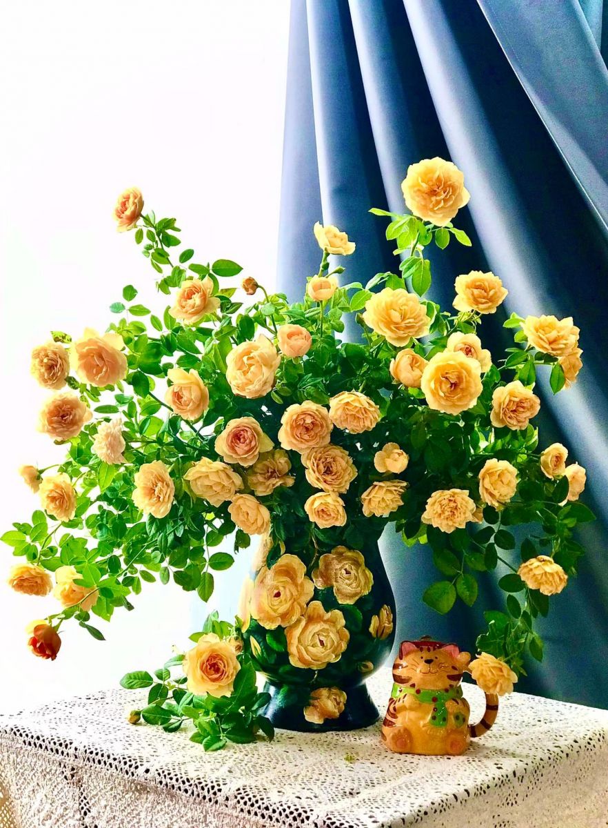 Tử vi ngày 1/9/2022 của 12 cung hoàng đạo